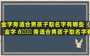 金字旁适合男孩子取名字有哪些（金字 🍁 旁适合男孩子取名字有哪些好听）